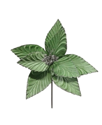 Kalėdinė gėlė